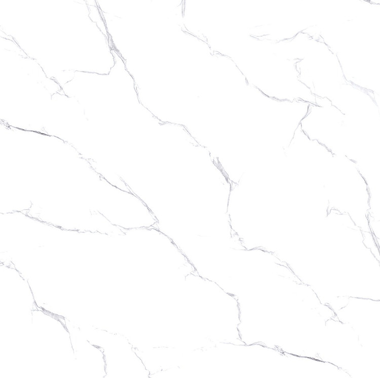 سرامیک کارتر 60*60 گلدیس کاشی